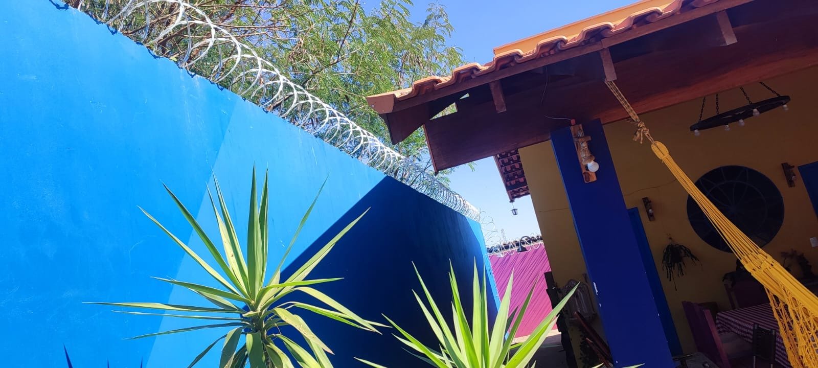 Concertina instalada em muro azul com quintal